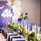 Fiber Optic Celestial Backdrop Set